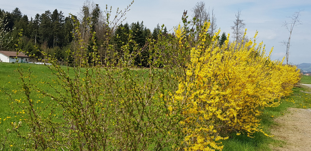 20190416_131601-(2)