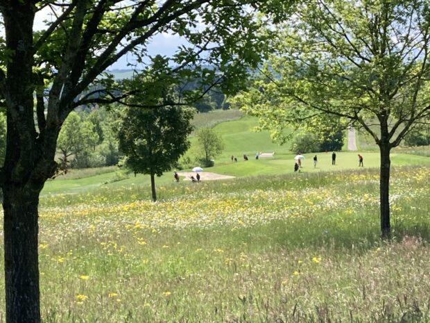 blühender Golfpark 3