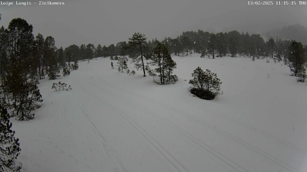 langiscam_02